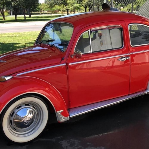 Fusca1