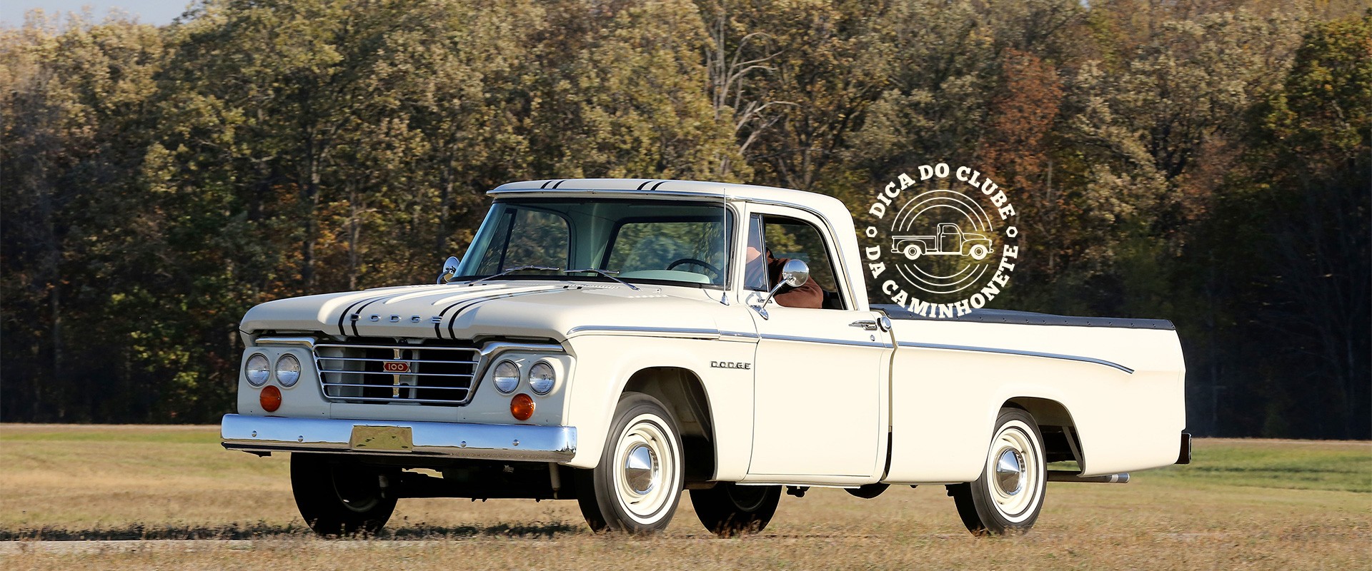 Dica do Clube: 1964–1966 Dodge Custom Sport Special